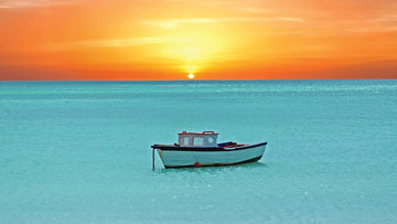 Aruba’s Hidden Gem: The Story Behind the Aruba Life Collection